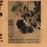 195805第二卷第二期封底胡偉克